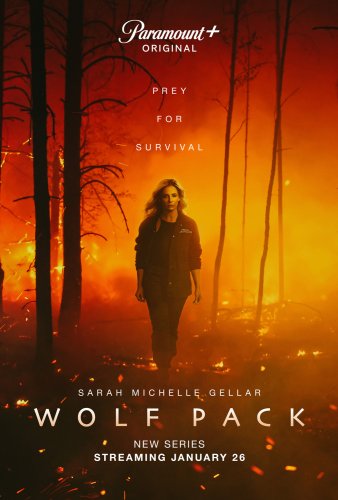 Wolf Pack - Saison 1 [WEBRiP] | VOSTFR
                                           
